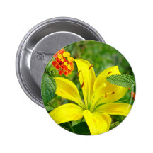 Botón híbrido amarillo de Lilly Pins