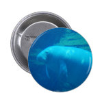 Botón lindo del Manatee
