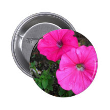 Botón magenta de la correhuela pin