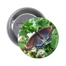 Botón púrpura del ~ de la mariposa pin