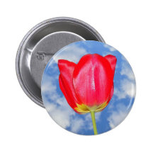 Botón rojo de la flor del tulipán pins