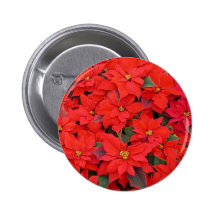 Botón rojo de los Poinsettias Pins