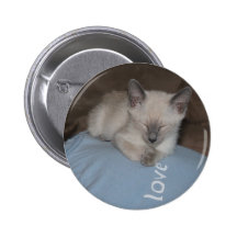 Botón siamés del gatito pin