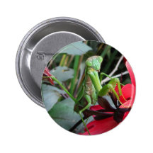 Botón sonriente del ~ del predicador pin