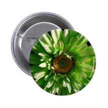 Botón verde de la margarita de Gerber Pin