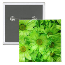 BOTÓN VERDE DE LA MARGARITA PIN