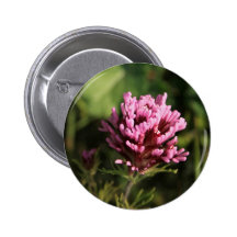 Botón - Wildflower Pins