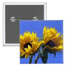Botones de los girasoles pin