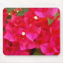 Bougainvillea Tapete De Ratón