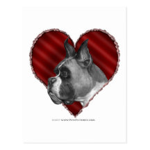 Boxeador con el corazón postal
