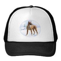 Boxeador de Noel Gorras