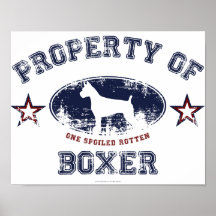 Boxeador Poster