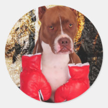 Boxeo Pitbull Pegatinas Redondas