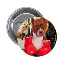Boxeo Pitbull Pin