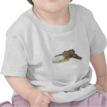 BrassCrucifixWoodenCoffin042112.png Camisetas