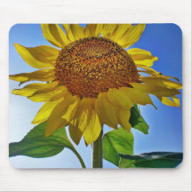 Brillo del girasol tapetes de raton