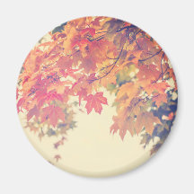 Brisa del otoño iman de frigorífico