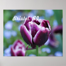 Bristol, RI Poster