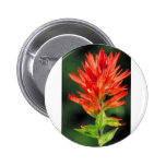 Brocha de Wyoming Pin