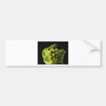 Bróculi de Romanesco Pegatina De Parachoque