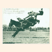 Bronc Bucking famoso cinco minutos tarjetas postales