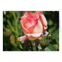 Brote color de rosa rosado tarjetón