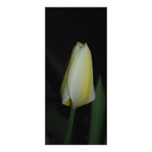 Brote del tulipán lona publicitaria