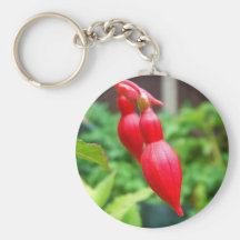 Brote fucsia llaveros