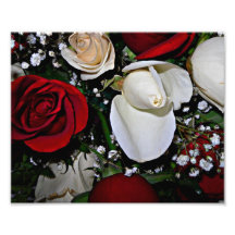 Brote rojo del rosa y blanco del rosa impresiones fotográficas
