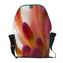 Brotes de la madreselva bolsa messenger