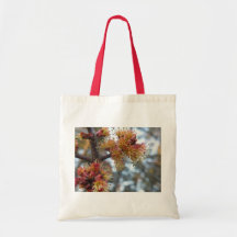 Brotes del árbol de la primavera bolsa