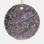 Brotes del peral de Bradford Ornamentos Para Reyes Magos