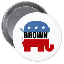 BROWN PINS