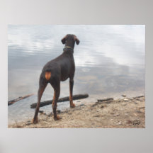 Brown Poster