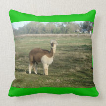 Brown y alpaca blanca cojines