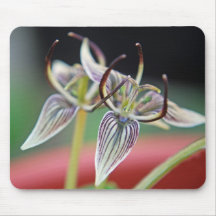 Brownie, flor nativa de California - Mousepad Alfombrilla De Ratones