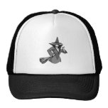 Bruja de plata gorra