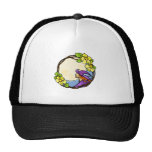 Bruja Gorros