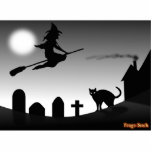 Bruja y gato negro en la noche escultura fotográfica