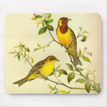 bruniceps de golpe ligero Rojo-dirigidos Mousepad  Tapete De Ratón