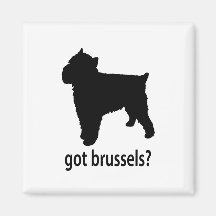 Bruselas conseguida Griffon Imán De Frigorífico