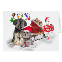 Bruselas Griffon celebra navidad Tarjeton