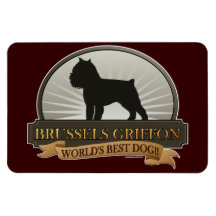 Bruselas Griffon Imán Rectangular