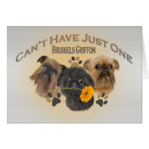 Bruselas Griffon no puede tener apenas uno Felicitación