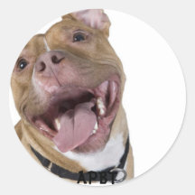 bsl, APBT Etiquetas