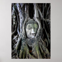 Buda Posters