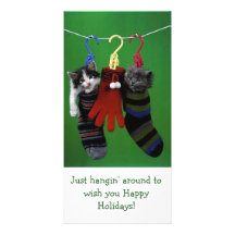 ¡Buenas fiestas - gatitos Hangin alrededor! Tarjetas Fotográficas Personalizadas