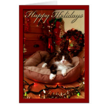 Buenas fiestas, navidad, gato tarjetas