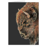 Búfalo, bisonte, animal de la acuarela felicitacion 