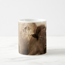 Búfalo del parque I de la cueva del viento Taza